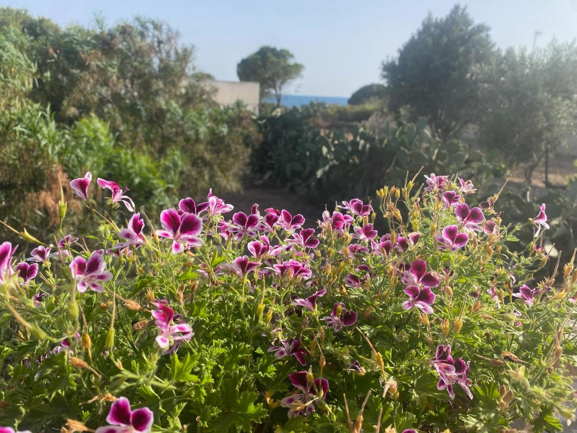 Villa Ificumori, Campagna Ammare Marina di Modica Exterior foto