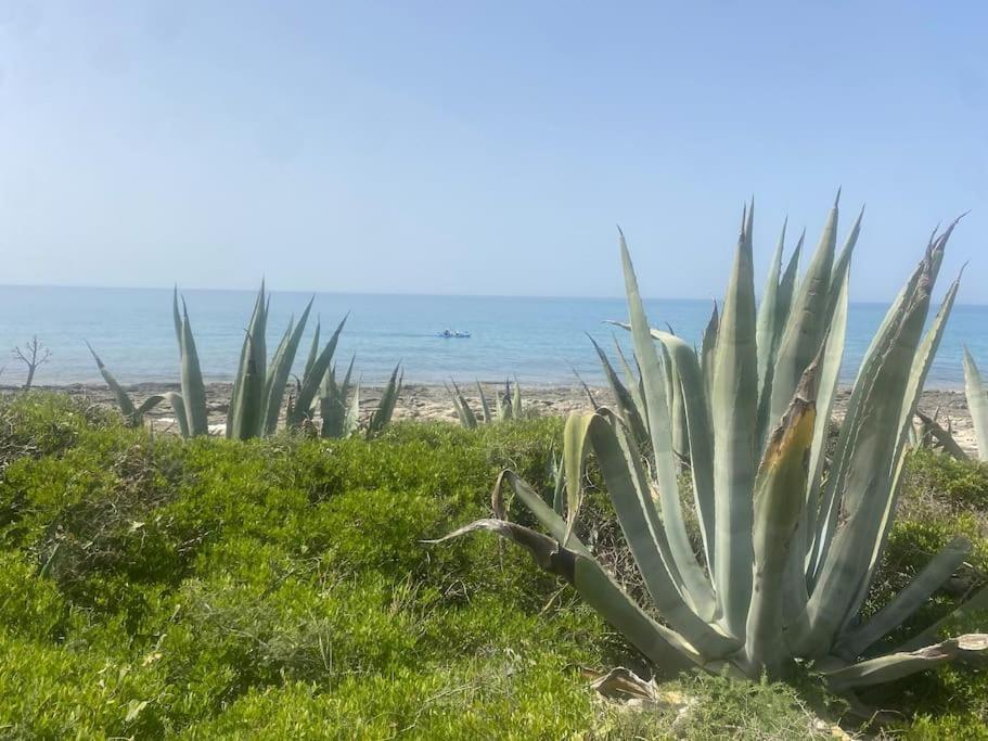 Villa Ificumori, Campagna Ammare Marina di Modica Exterior foto